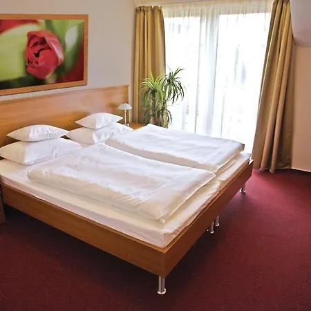 Promedicum Panzio B&B 베스프렘