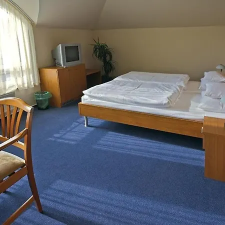 Promedicum Panzio Bed & Breakfast 2*