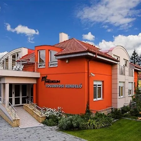 Promedicum Panzio
