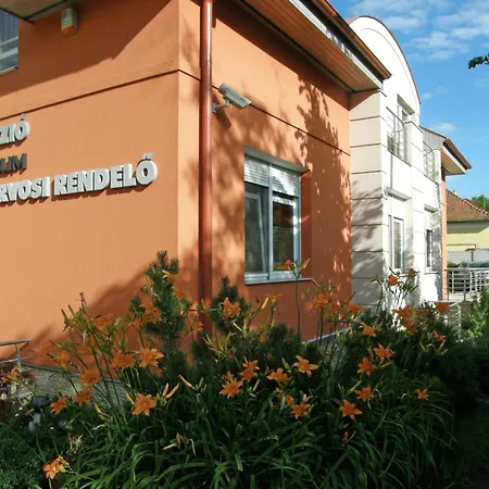 B&B Promedicum Panzio 4*